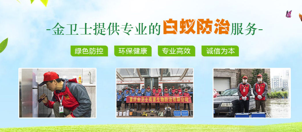 春季3月時期，白蟻消殺工作任重而道遠(yuǎn)  ?