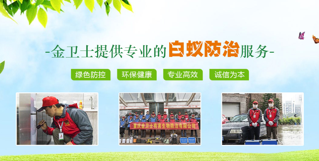 丑陋的蟑螂看起來很可怕。如何解決這種情況？