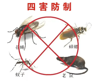 床墊易滋生吸血臭蟲(chóng)，怎樣預(yù)防呢？